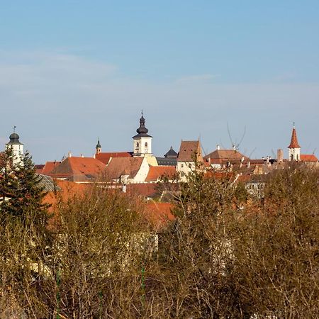 The Views Lejlighed Sibiu Eksteriør billede